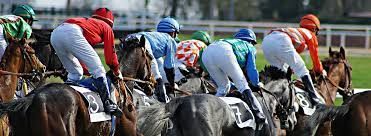 Horse Racing Betting Tips - Tips to Help You Make Money at the Racecourse!